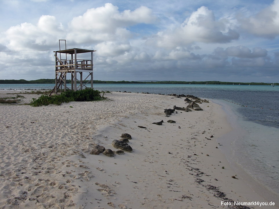 0052 Insel Bonaire 2009